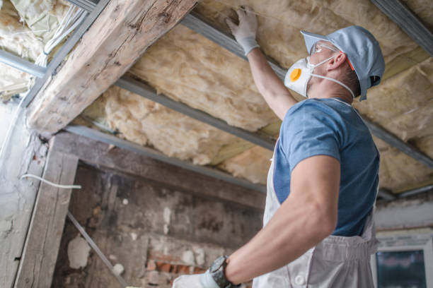 Insulation Replacement Services in Kathleen, FL