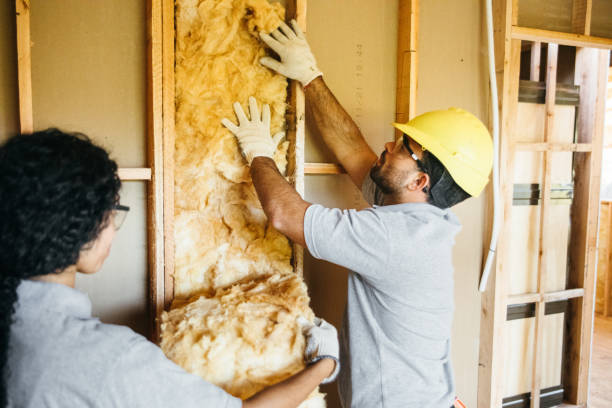 Best Wall Insulation Contractor  in Kathleen, FL